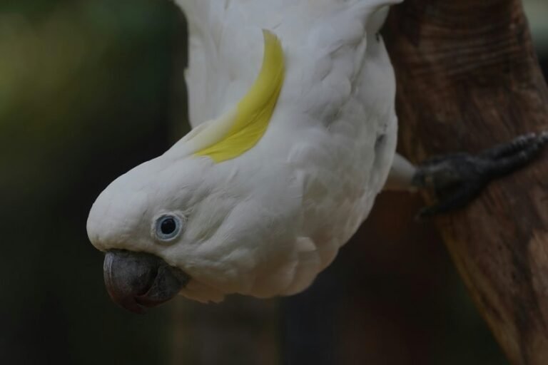 enterprise numeric intelligence insights